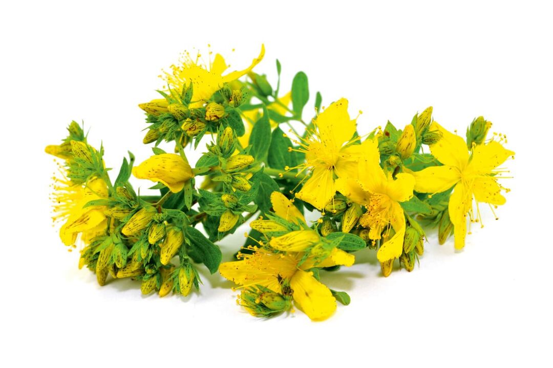Wort de St. John no spray zxcvbnmqwert